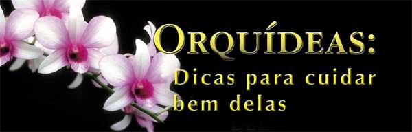 http://www.jardimdeflores.com.br/JARDINAGEM/imagens/A01orquideas1.jpg