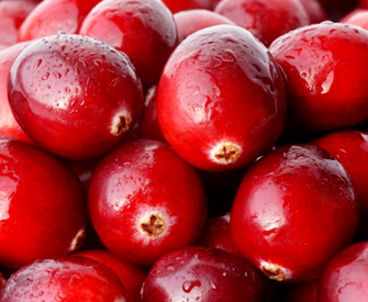 jardim de flores - cranberry
